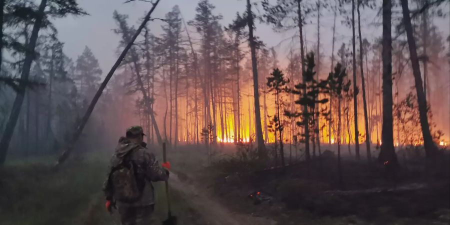 Russia Wildfires