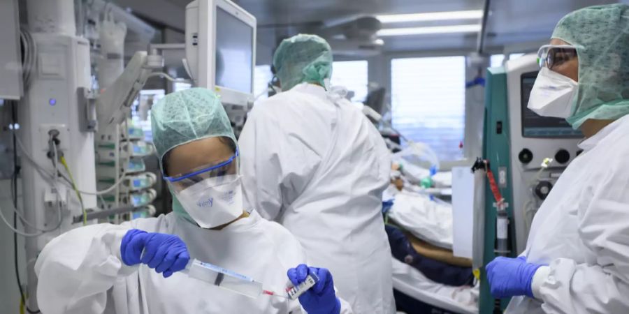 vermehrung crispr methode