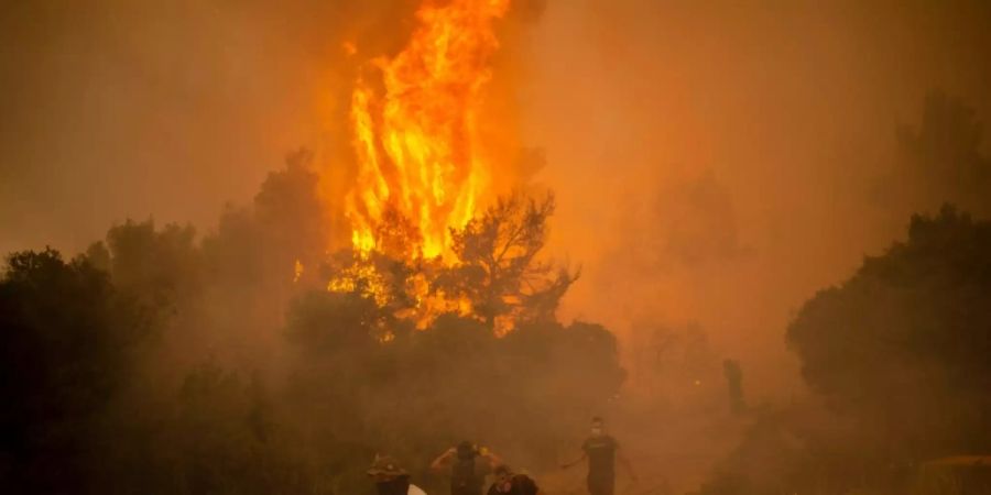 Waldbrand nordwestlich von Athen