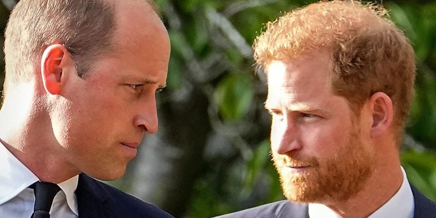 Bei der Krönung ihres Vaters werden sich Harry und William wohl aus dem Weg gehen.