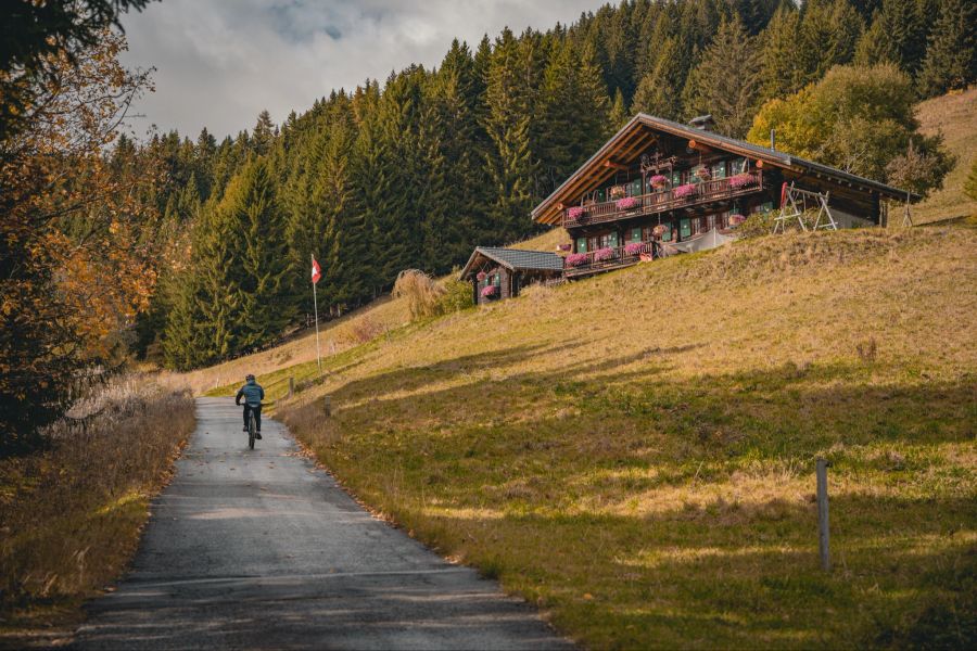 E-Biker in der Natur