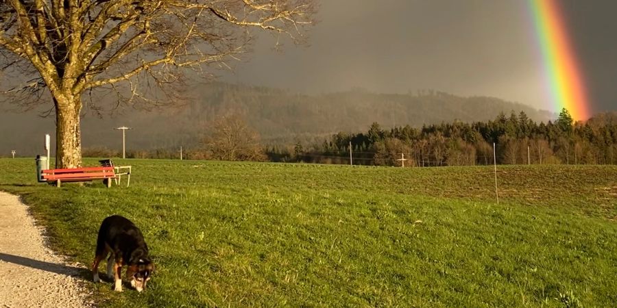 Die bunten Farben freuten auch Spaziergängerinnen.