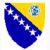 Logo FC Bosna Zürich 1