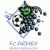 Logo FC Arnex I