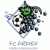 Logo FC Arnex II