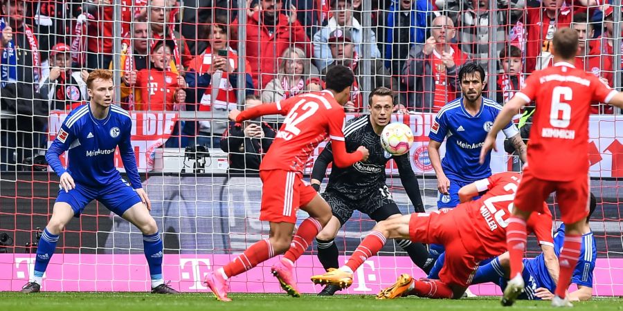 Bundesliga Bayern München Schalke