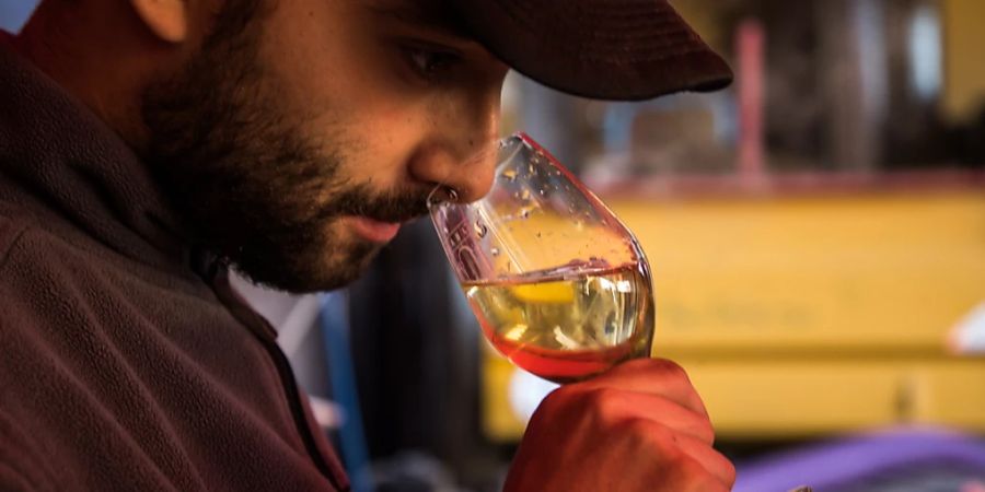 Ein Angestellter des Weinguts Daniel-Etienne Defaix verkostet die erste Pressung von Trauben während der Weinlese in Chablis im Burgund (F). (Archivbild)