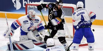 ZSC