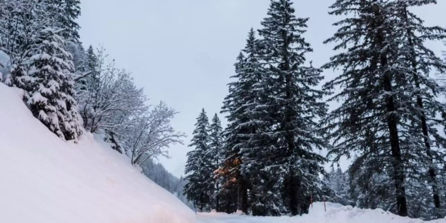 Eine Absperrung steht auf dem verschneiten Weg in den Schweizer Bergen nahe Orsieres. Foto: Jean-Christophe Bott/KEYSTONE/dpa