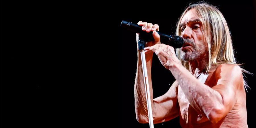 Die Fans trauten ihren Augen nicht: Iggy Pop setzte sein Konzert nach kurzer Unterbrechung einfach fort.