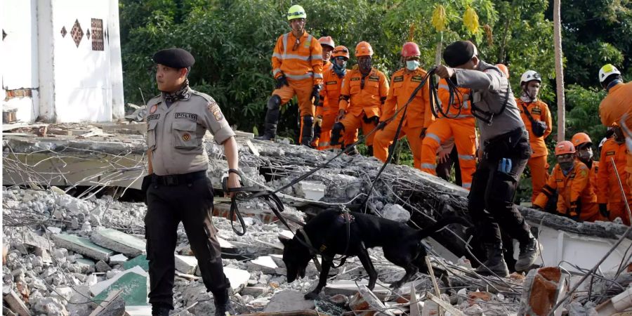 Such- und Rettungskräfte durchsuchen mit Spürhunden die Trümmer einer zerstörten Moschee, nachdem es auf der Insel Lombok (IDN) ein Erdbeben gegeben hat.