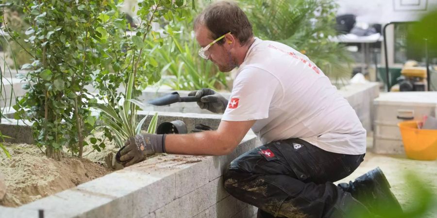 Ein Swiss-Skills-Teilnehmer pflanzt einen Baum in Erde.