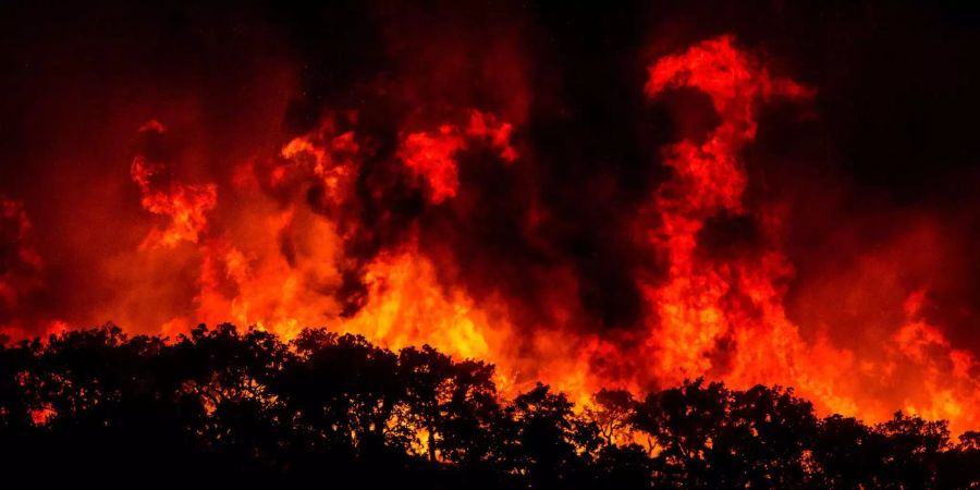 Ein Feuer schlägt auf einem Hügel nahe der Kleinstadt Monchique Flammen.