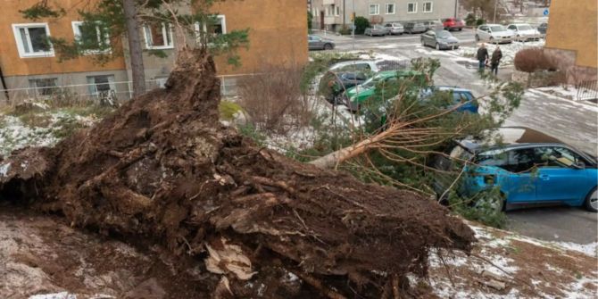 Ein Baum ist in Stockholm auf ein Autos gestürzt.