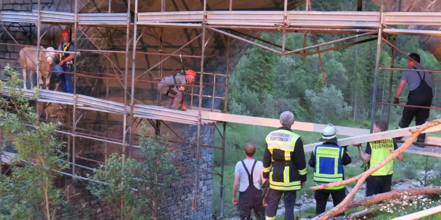 Die Feuerwehr rettet die Kuh.