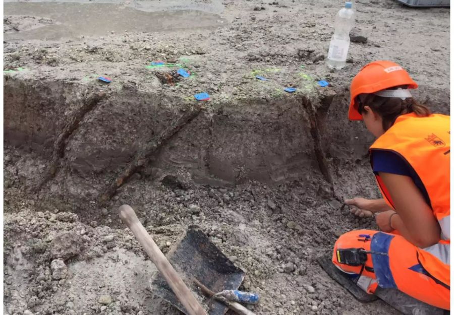 Eine Mitarbeiterin des Archäologischen Dienstes des Kantons Bern legt fast 6000-jährige Pfähle einer Palisade frei.