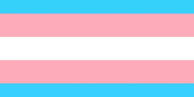 Die offizielle Flagge der Transgender-Community.