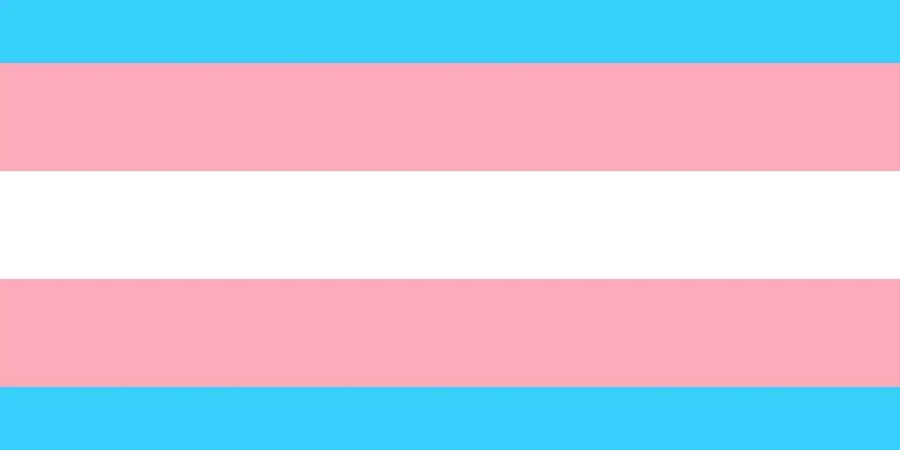 Die offizielle Flagge der Transgender-Community.