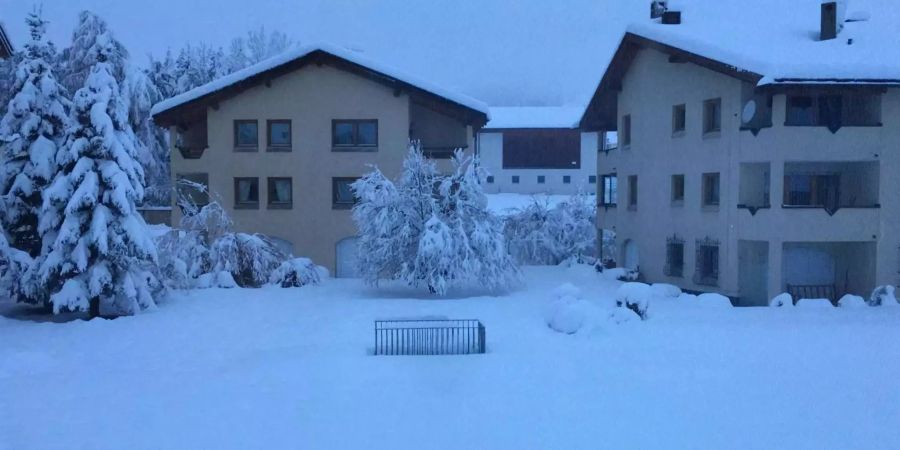 Dieses Foto wurde in Celerina im Kanton Graubünden aufgenommen.