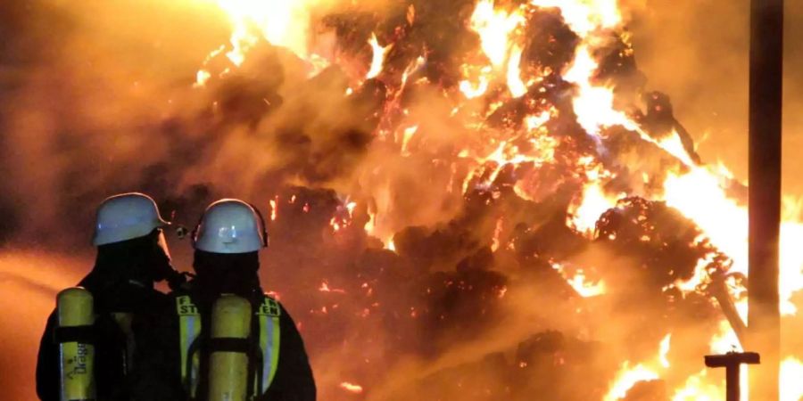 Bei dem Feuer gab es glücklicherweise keine Verletzten (Symbolbild).