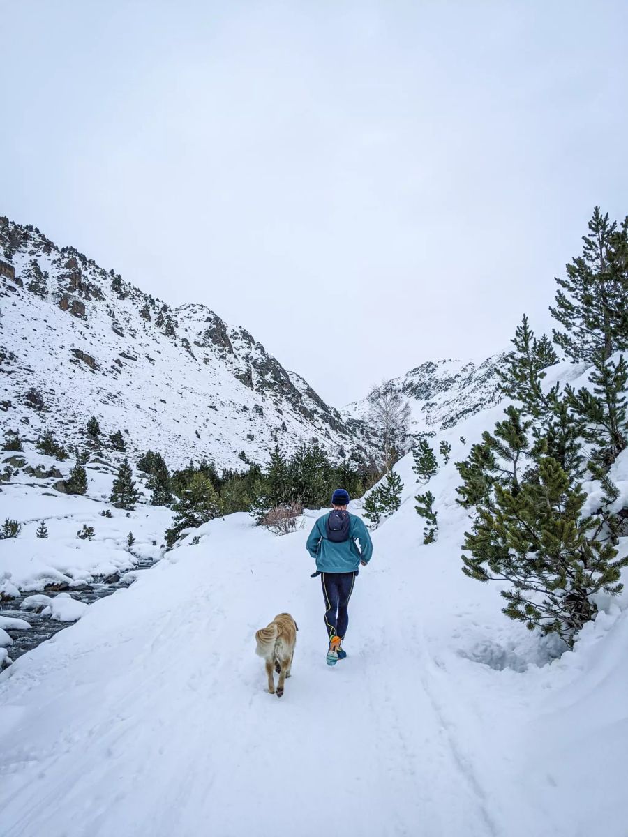 Frau beim Joggen mit Hund.