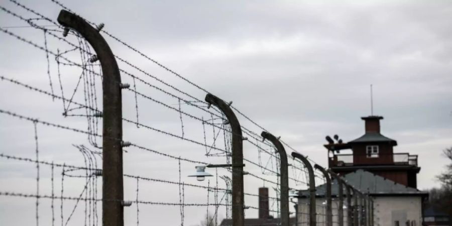 Stacheldrahtzaun an der KZ-Gedenkstätte Buchenwald