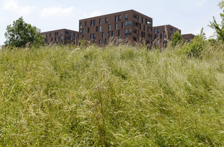 wohnimmobilien schweiz