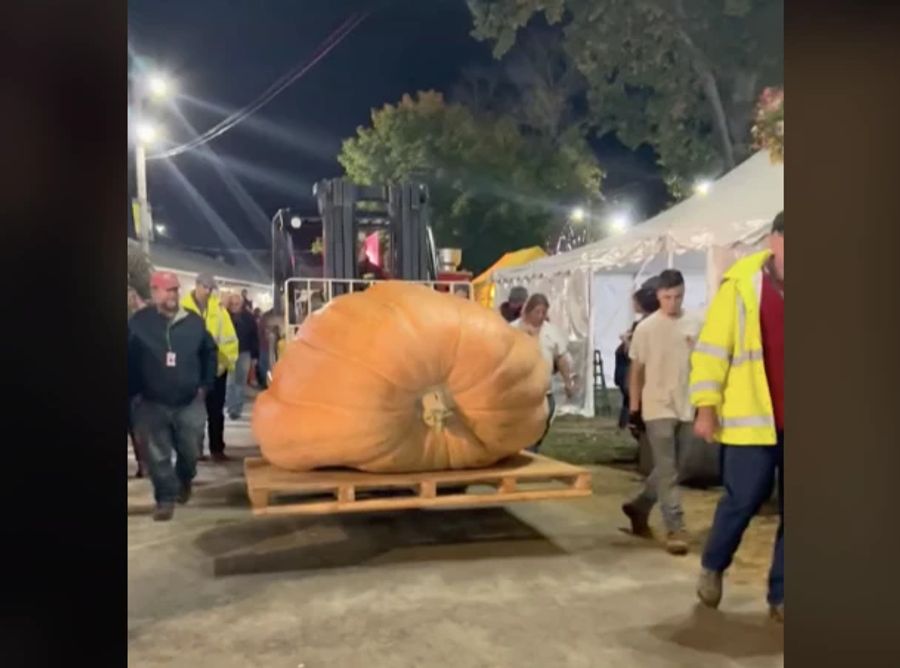 An der Messe wird der sehr schwere Kürbis transportiert.