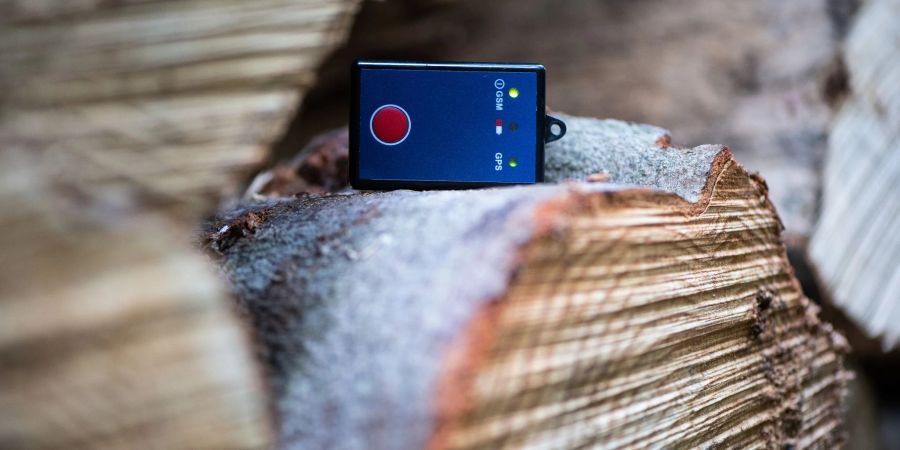 Mit dem Einsatz von batteriebetriebenen GPS-Sendern sollen gestohlene Baumstämme der Hessenforst geortet werden.