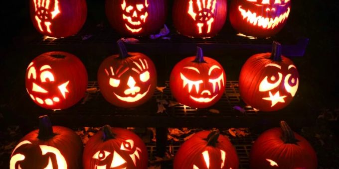 Kürbisse zum Halloween-Fest Kürbisse zum Halloween-Fest