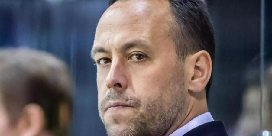 Seit November 2018 Co-Trainer der Los Angeles Kings: Marco Sturm. Foto: Marcel Kusch/dpa