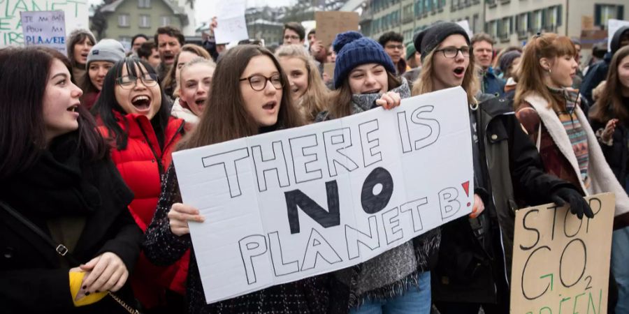 klimastreik Wahlen 2019