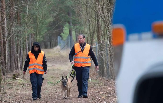 Hundeführer der Polizei gehen bei Kummersdorf (Oder-Spree) durch ein Waldstück, wo die Beamten nach der vermissten Rebecca suchen. Fall Rebecca