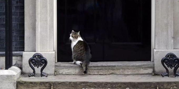 Der «Chief Mouser» zog die Aufmerksamkeit vor Theresa Mays Abschiedsrede auf sich. Theresa May