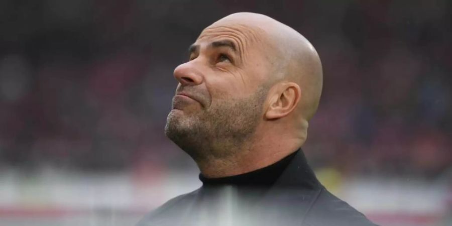 Blickt mit Leverkusen Richtung Königsklasse: Bayer-Coach Peter Bosz. Foto: Marijan Murat