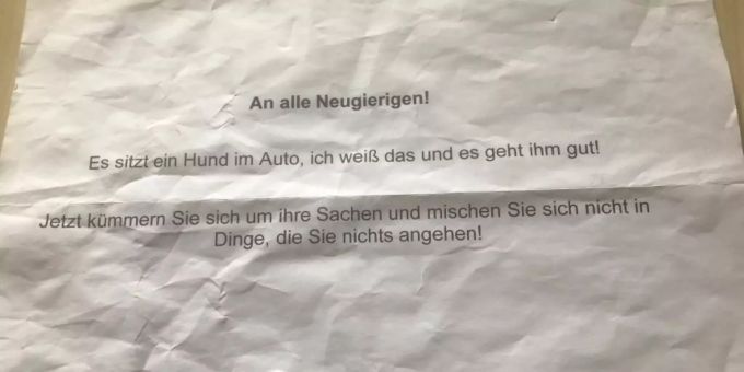Halter meinte - «Es geht ihm gut!» – Hund stirbt in heissem Auto