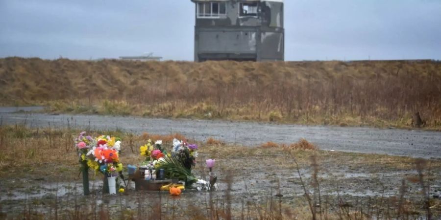 Blumen zum Gedenken an Tsunami-Opfer in Namie