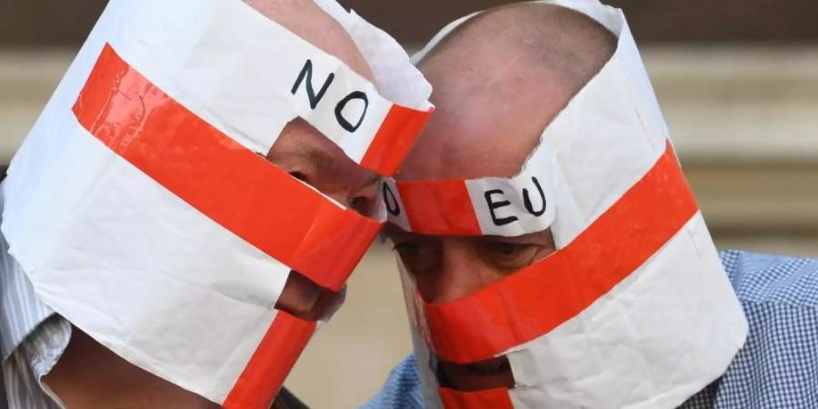 Brexit-Befürworter mit "No EU"-Masken. Foto: Stefan Rousseau/PA Wire