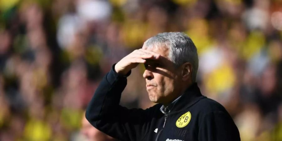 Gute Aussichten aber wenig euphorisch: BVB-Trainer Lucien Favre. Foto: Ina Fassbender