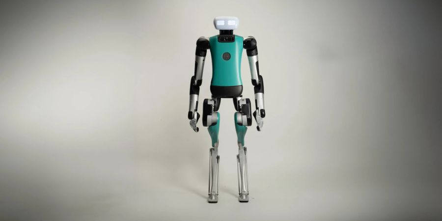 Porträtbild humanoider Roboter Digit vor grauem Hintergrund