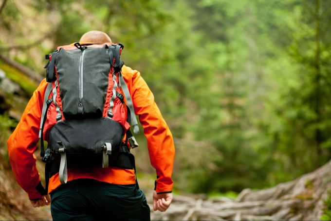 Sich im Wald orientieren zu können, ist auch ohne Hilfsmittel wichtig. Outdoor