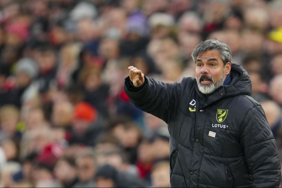 David Wagner