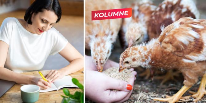 walser kolumne