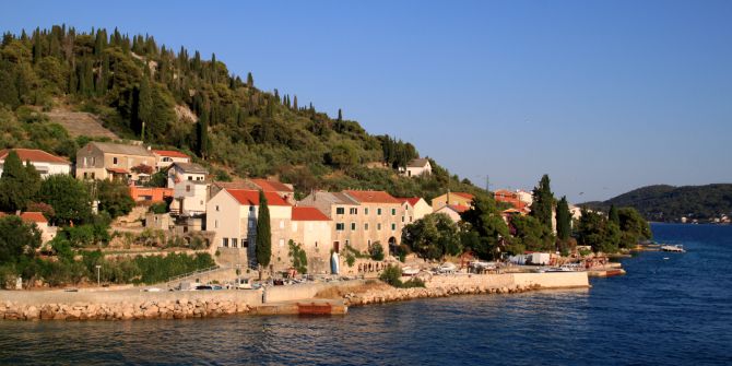 Ošljak