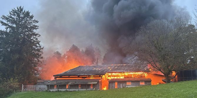 Brand Stall Wädenswil
