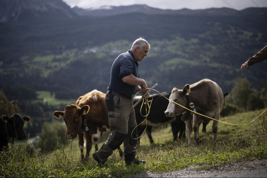 Denn Leute auf dem Land arbeiten eher im Freien, etwa als Landwirte. (Symbolbild)