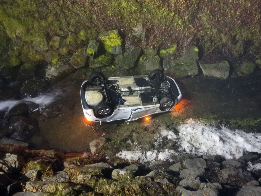 Die Fahrerin musste von der Feuerwehr gerettet werden.