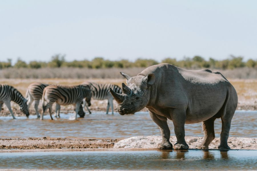 Namibia