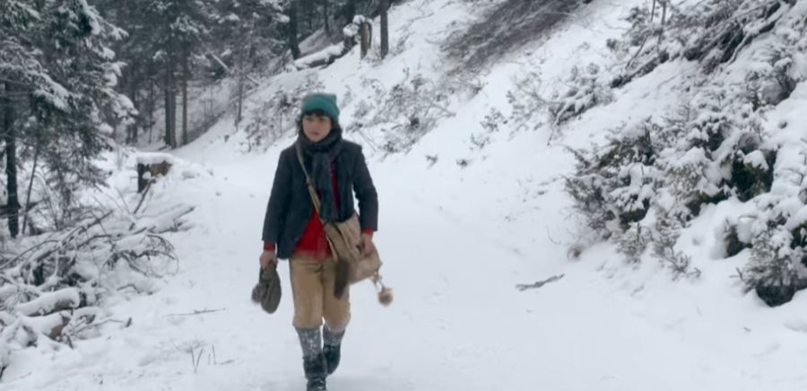 Doch zum Gespött will er nicht werden. Er wandert ...