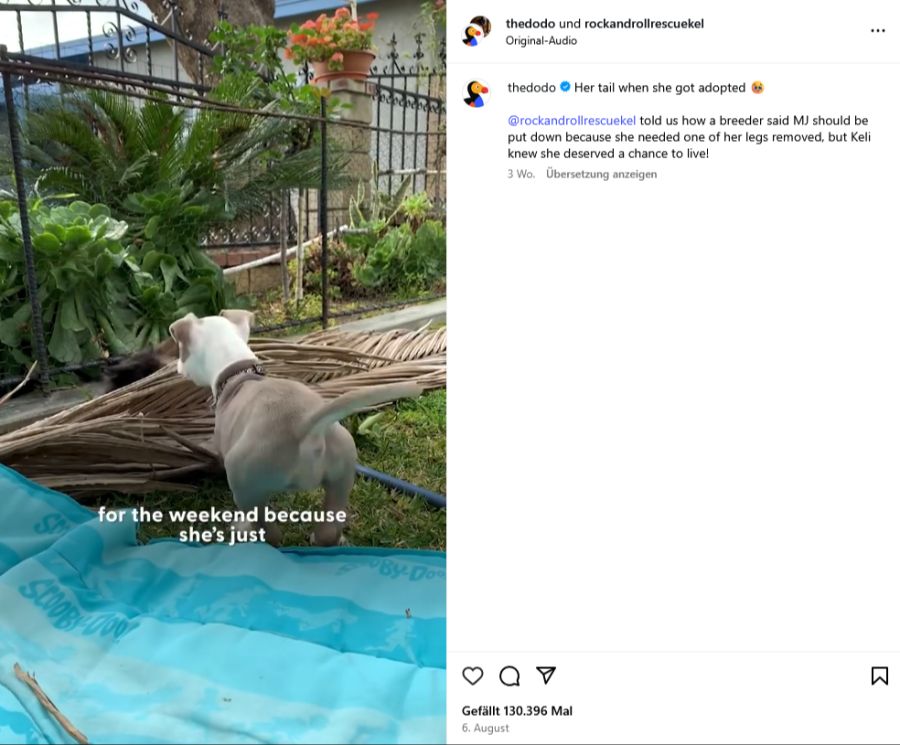 Sie spielt liebevoll mit kleinen Katzen.